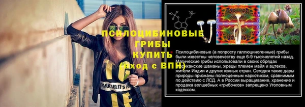 mix Абаза