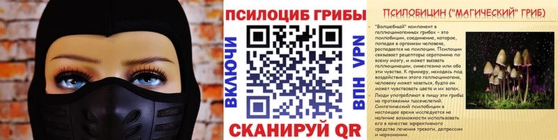 купить закладку Протвино Галлюциногенные грибы прущие грибы